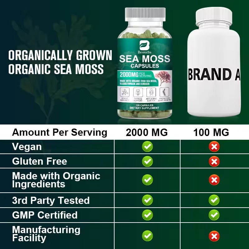 BEWORTHS Organic Sea Moss Pills – Gut, Immune & Thyroid Support