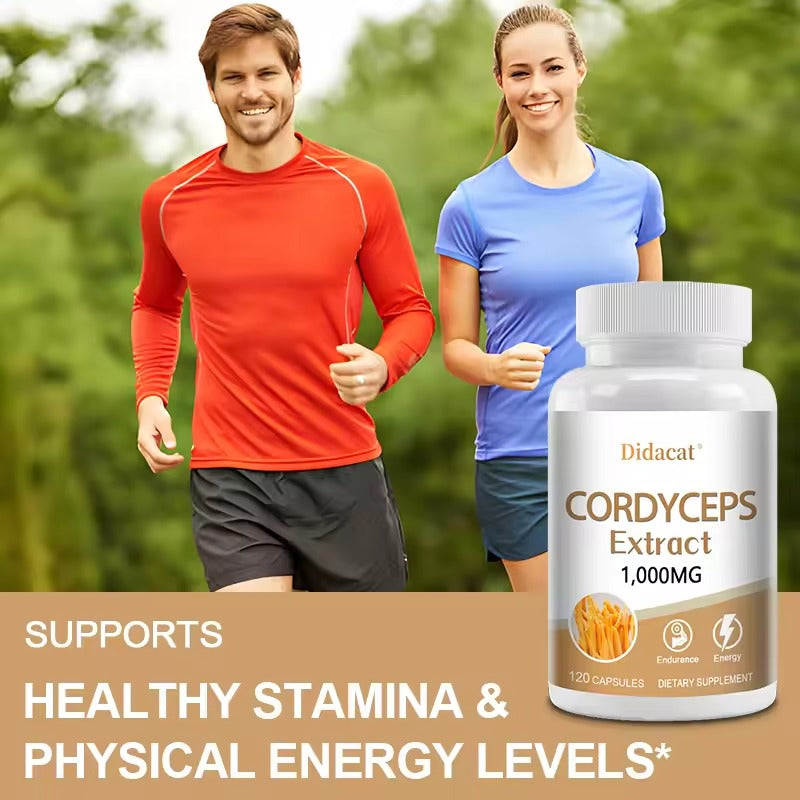 Cordyceps Sinensis Mushroom Extract – Natural Energy & Vitality Support