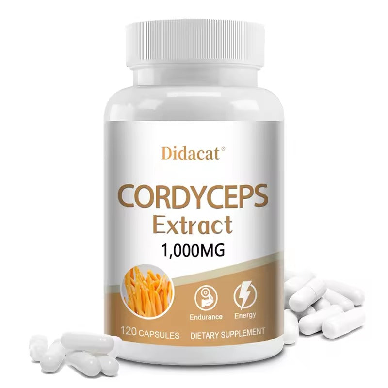 Cordyceps Sinensis Mushroom Extract – Natural Energy & Vitality Support