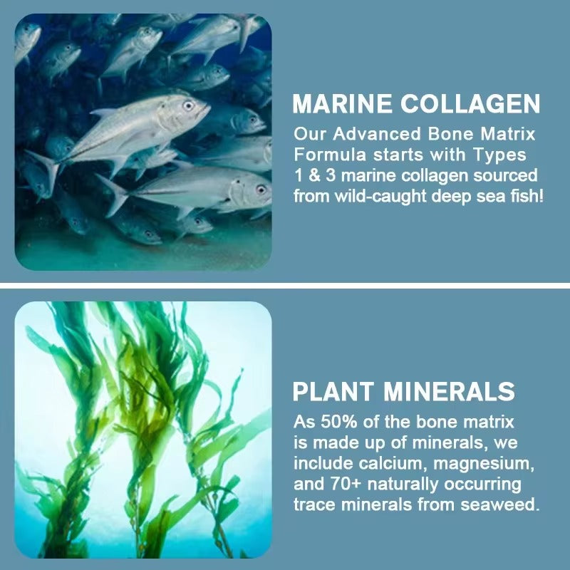 BEWORTHS Collagen Bone Capsules – Support Bone Growth, Collagen Production & Calcium Absorption