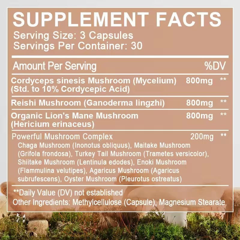 BEWORTHS Mushroom Capsules – Energy, Brain & Digestive Health Support