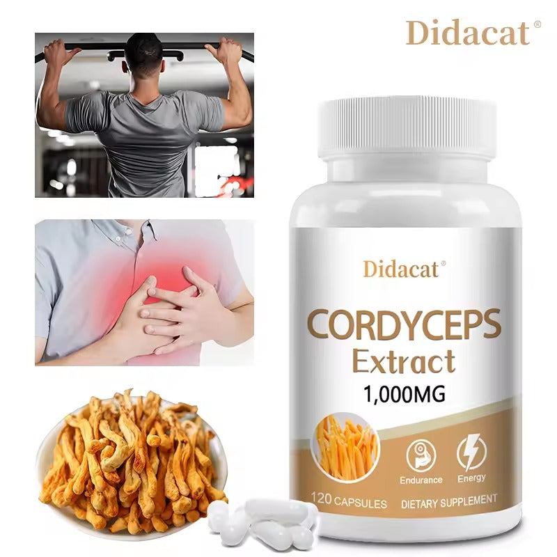 Cordyceps Sinensis Mushroom Extract – Natural Energy & Vitality Support