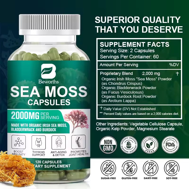 BEWORTHS Organic Sea Moss Pills – Gut, Immune & Thyroid Support