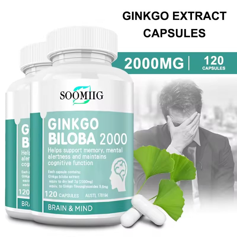 Ginkgo Biloba Brain Supplement – Memory, Focus, and Cognitive Function Support