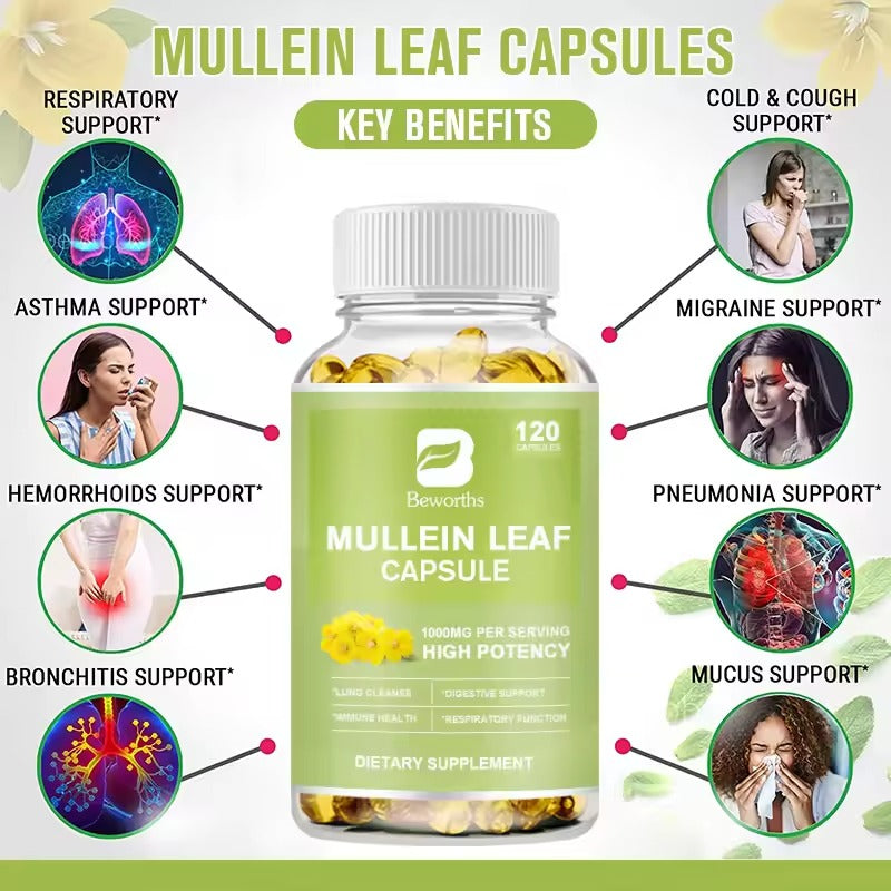 BEWORTHS Natural Mullein Leaf Capsules – Lung, Immune & Digestive Health Support