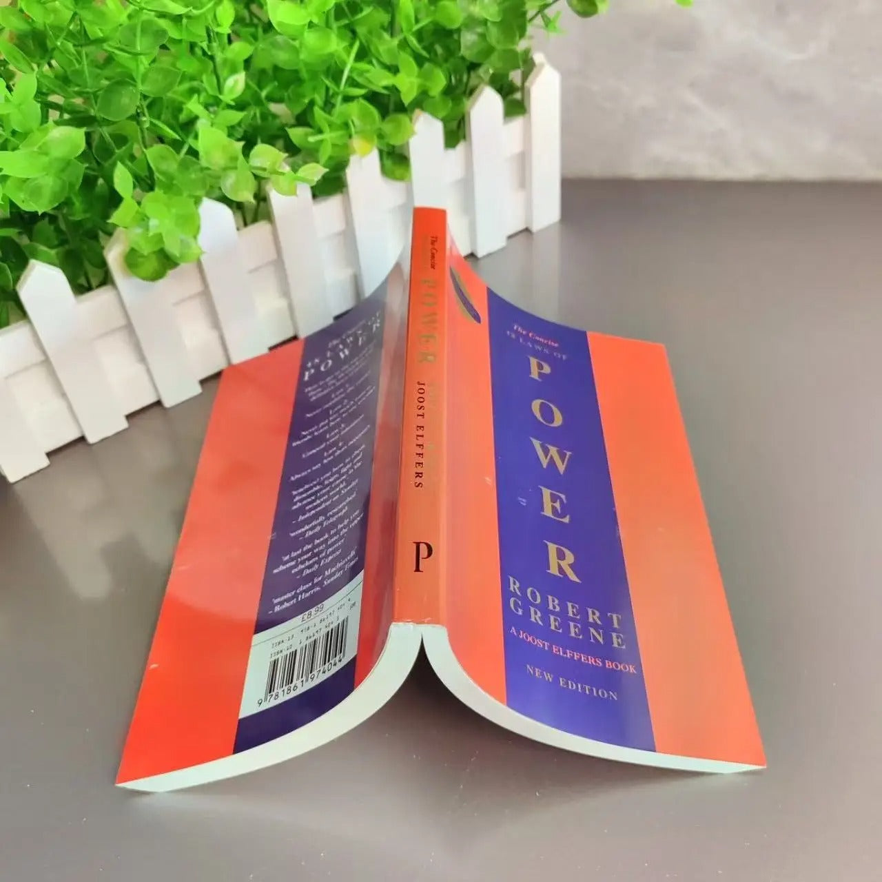The Concise 48 Laws of Power by Robert Greene – Political Leadership, Political Philosophy & Motivation (English Paperback)