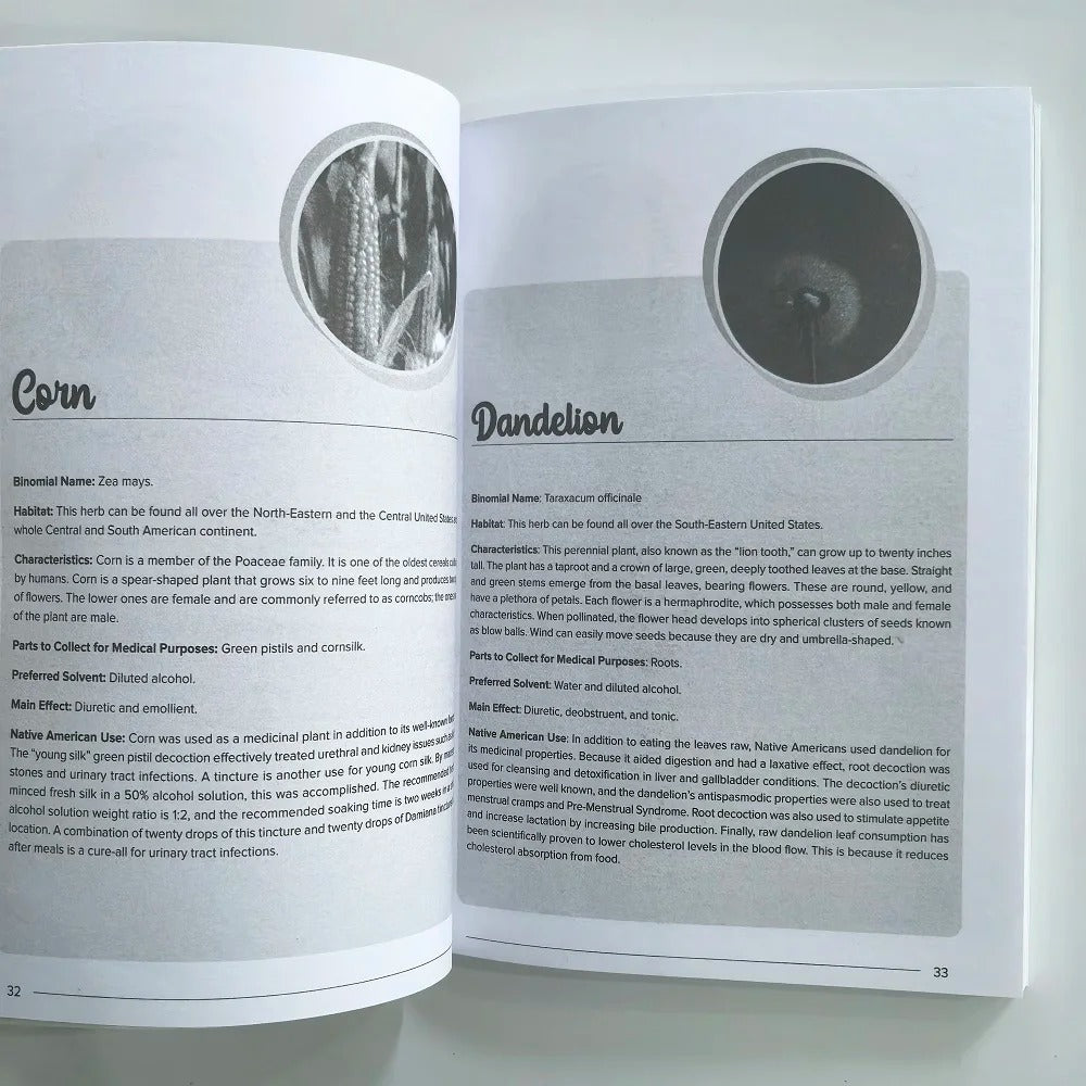 The Herbal Remedies & Natural Medicine Bible: The Ultimate Collection of Healing Herbs and Plants to Grow (English Paperback)