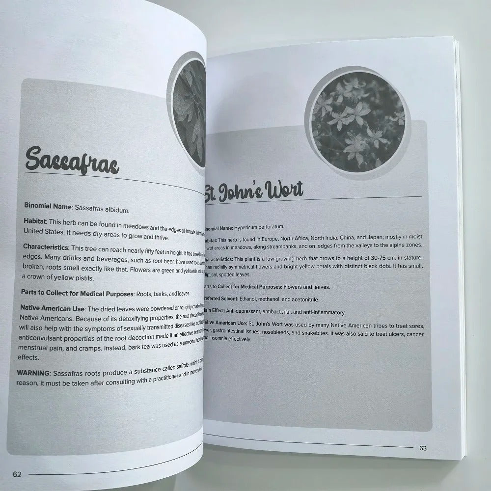 The Herbal Remedies & Natural Medicine Bible: The Ultimate Collection of Healing Herbs and Plants to Grow (English Paperback)